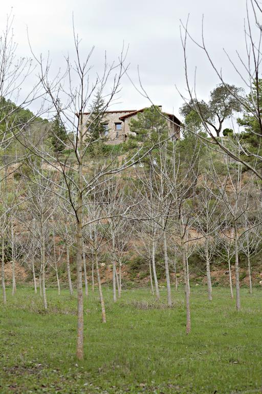 Отель Masia Ca L'Anima La Baronia de Rialb Экстерьер фото