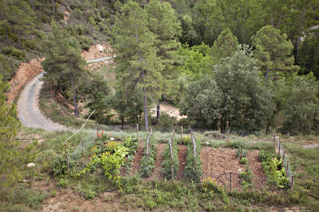 Отель Masia Ca L'Anima La Baronia de Rialb Номер фото