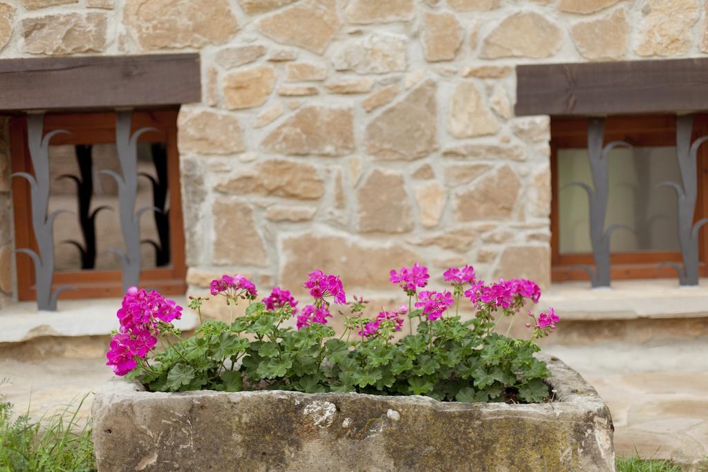 Отель Masia Ca L'Anima La Baronia de Rialb Номер фото