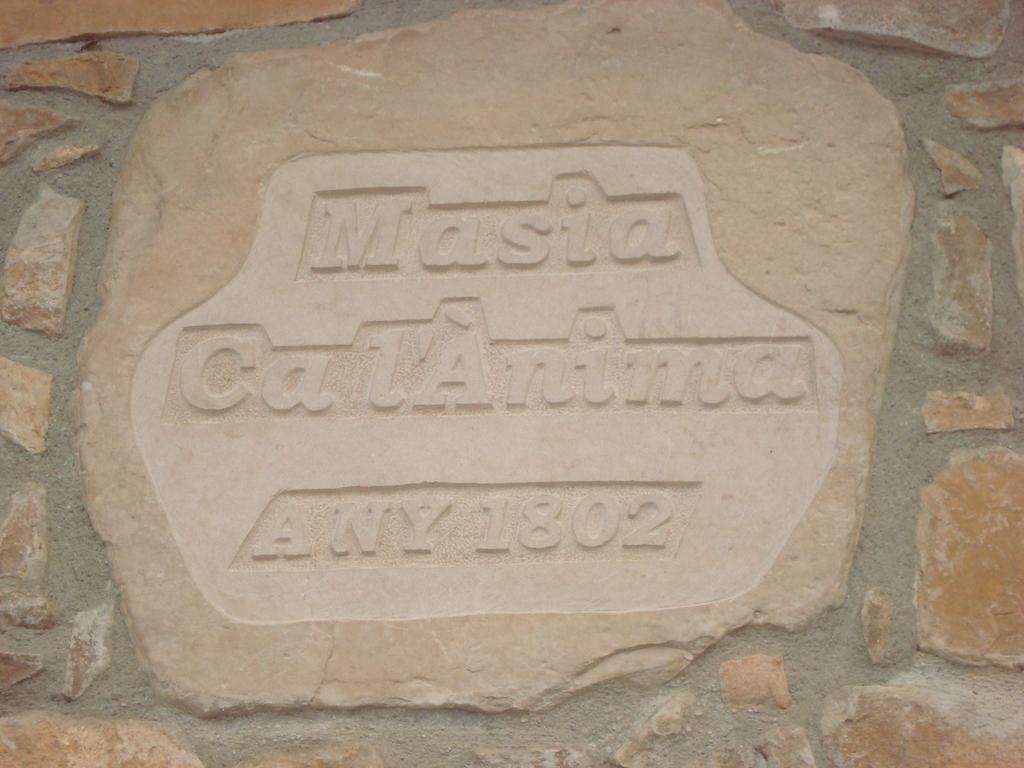 Отель Masia Ca L'Anima La Baronia de Rialb Номер фото